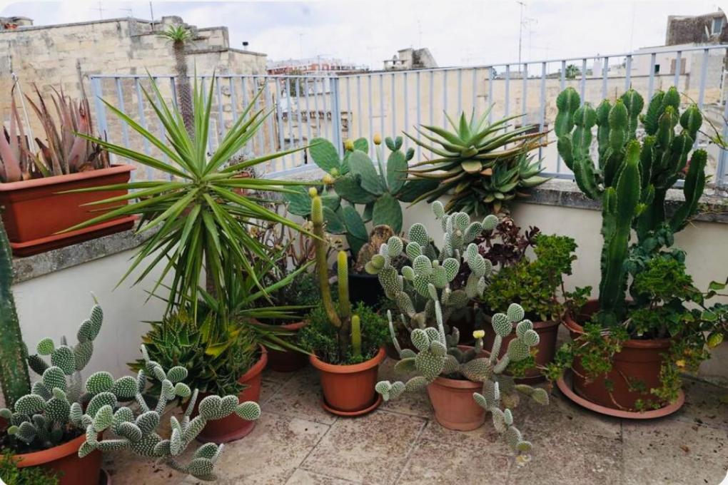 Vila Fior Di Loto Lecce Exteriér fotografie